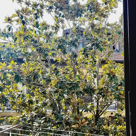 Flat In Milano, Isola *